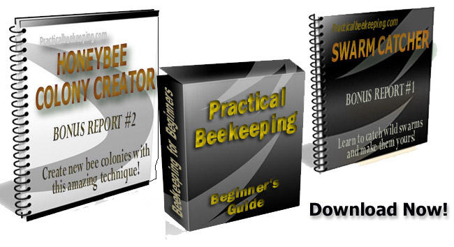 Beekeeping Books Combo set